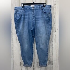 0616 Lane Bryant Classic Blue Women's Jeans